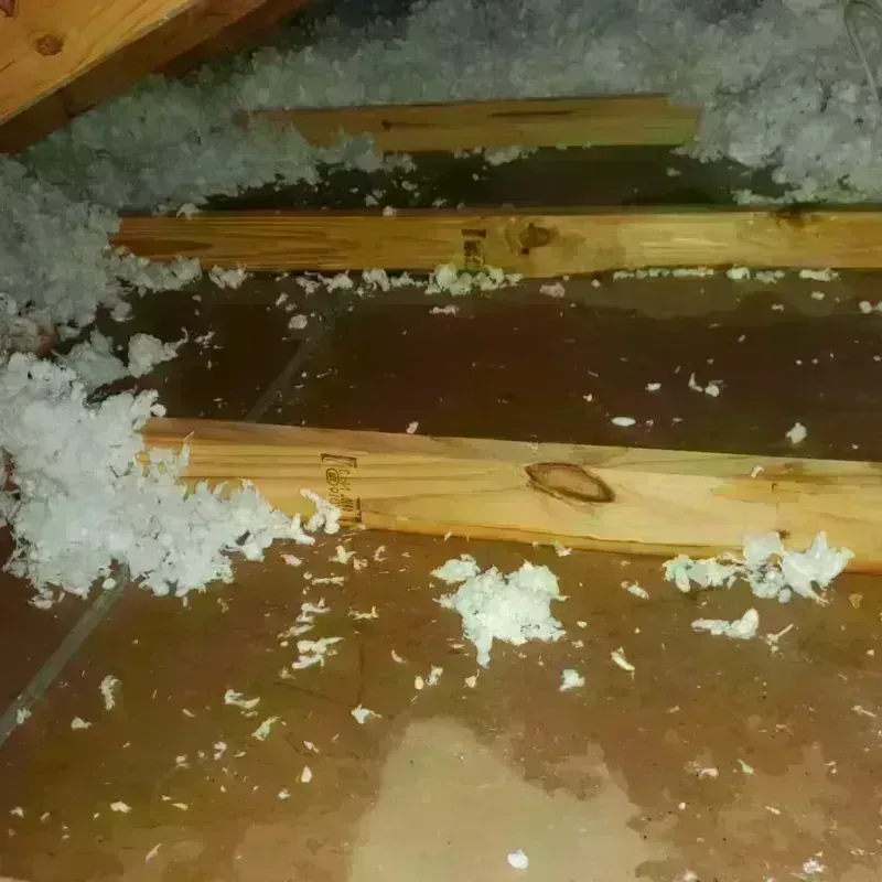 Attic Water Damage in Elizabeth City, NC