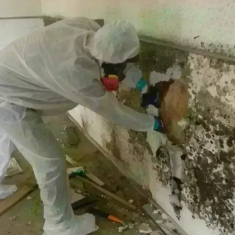 Mold Remediation and Removal in Elizabeth City, NC